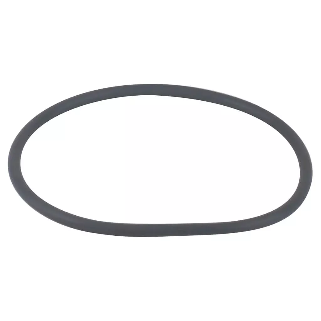 Astral Pool CTX / E Series Pump Lid O-Ring