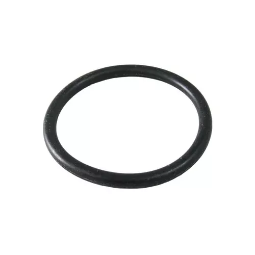 Waterco 50mm Oring 6340241- Spare Part