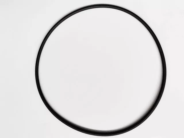 zodiac-clearwater-lm3-cell-housing-o-ring Zodiac Clearwater LM3 Cell Housing O'Ring